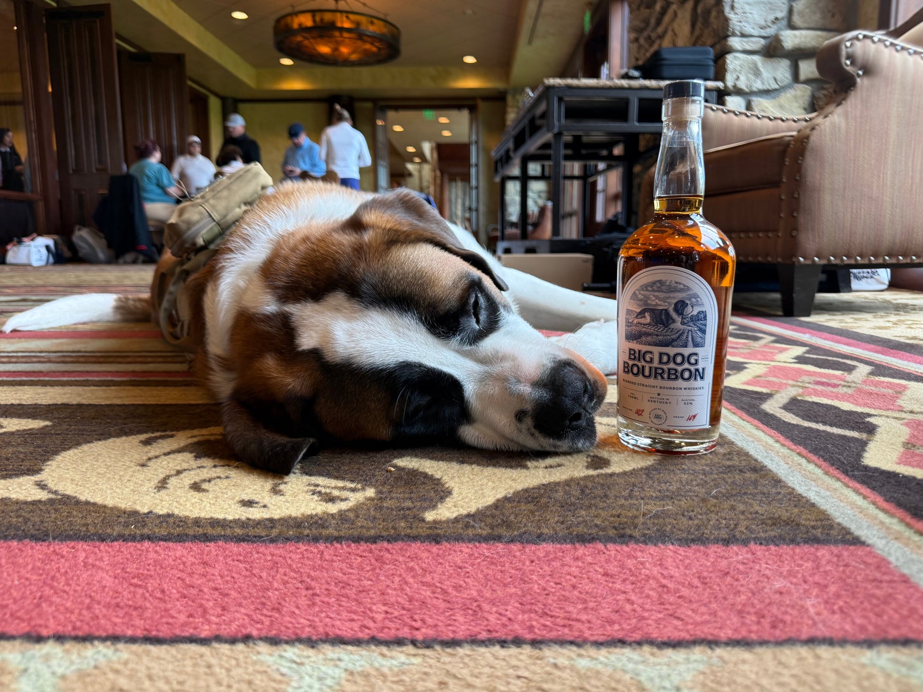 Big Dog Hits the Road — His First Public Meet & Greet at the Ozarks